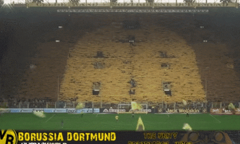BVB in funny gifs