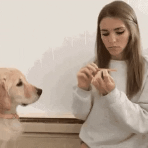 Do my nails too hooman in dog gifs