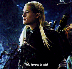 Legolas GIF - Find & Share on GIPHY