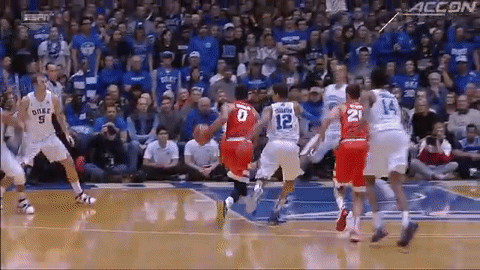 giphy.gif