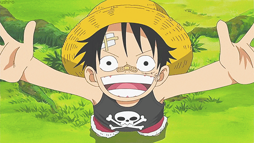 Pull One Piece Chapeau de Paille en Rouge