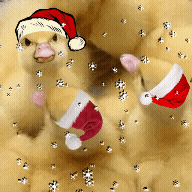 giphy.gif
