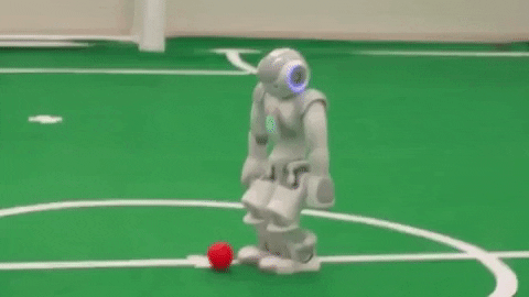 Robot soccer