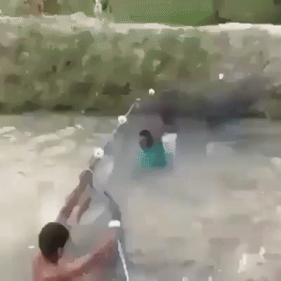 Fish incoming in funny gifs