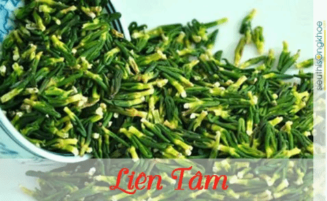 Tã¢M An LạC Tiãªn SảN PhẩM Hãµ Trợ ÃÂIá»ÂU Trá» MấT Ngá»§ GIF