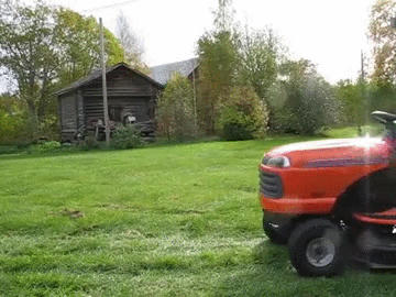 Dog on ride-on mower cutting grass