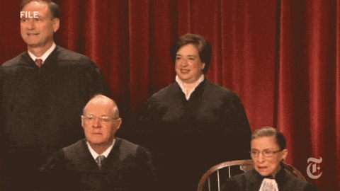 Supreme Court GIFs - Find & Share on GIPHY