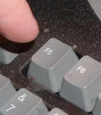 giphy.gif?cid=790b761134e55d691224d6ea0fd1d31d9c289b852669fff0&rid=giphy.gif&ct=g