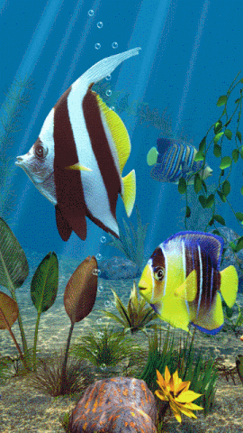 3D Fish GIF - Find & Share on GIPHY