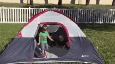 Babies fell down Funny Gif