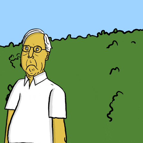 Homer Simpson Senate GIF by Creative Courage