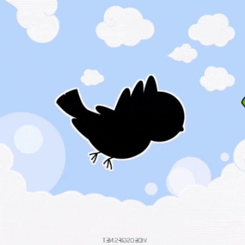 Birb in gifgame gifs