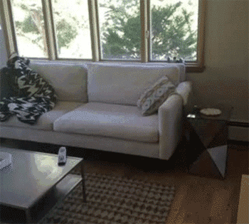 Sofa eating TV remote