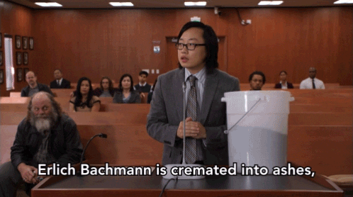 Pied Piper Silicon Hbo GIF by Silicon Valley