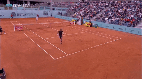 Animated GIF - Find & Share on GIPHY
