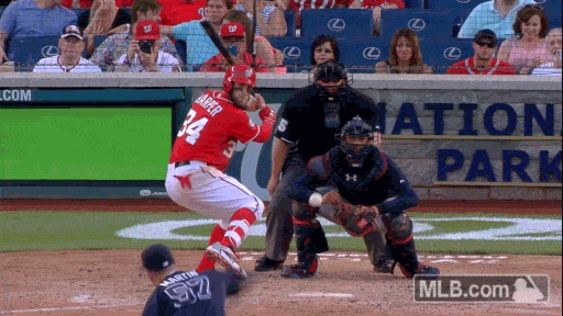 giphy.gif