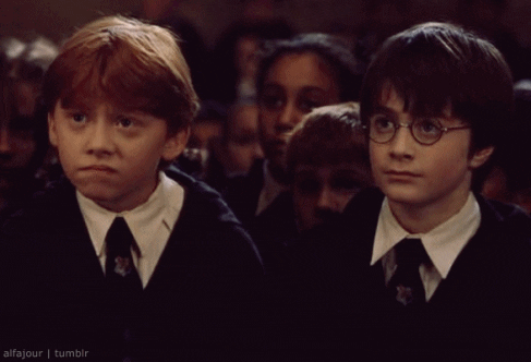 Ron Weasley and Harry Potter GIF