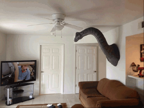 Head Wall Gif Find Share On Giphy