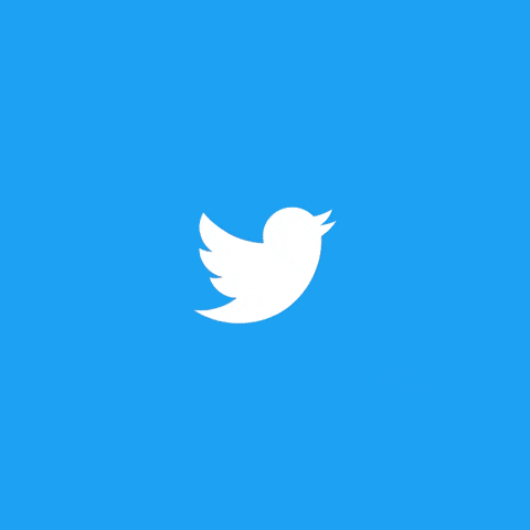 how to make gif for twitter