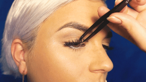Eyelashes Format GIF - Find & Share on GIPHY