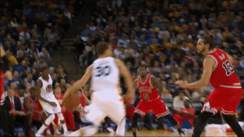 Golden State Warriors GIF - Find & Share on GIPHY