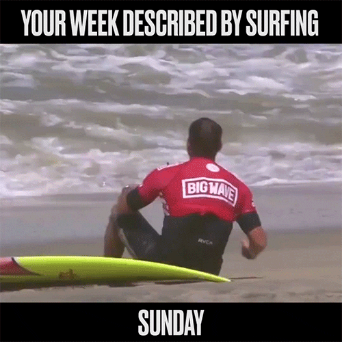 Water Sports Surfing GIF by World Surf League Find & Share on GIPHY