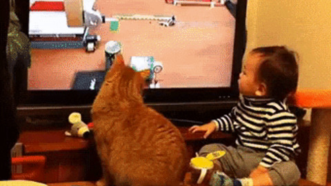 Cat and baby sync