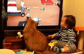 Cat and baby sync in cat gifs