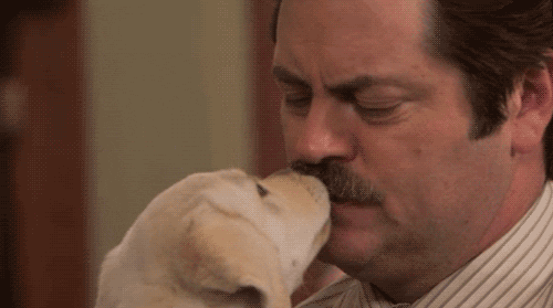 17 reasons why we love puppies on National Puppy Day (and every day)!