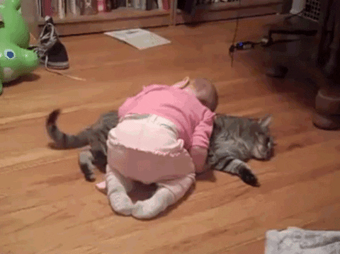 [Gif description: a little girl curling up in a nap on top of a sleeping cat] via Giphy
