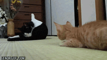 200.gif