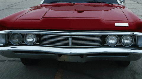 giphy.gif