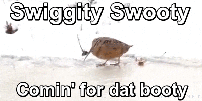 booty steal yo girl swiggity swooty on my way to steal yo girl