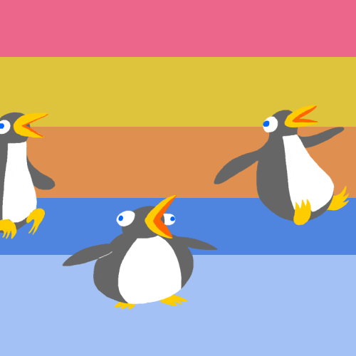 The Greatest Penguin GIFs on the Internet | Public Radio ...