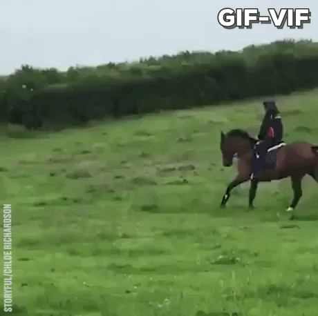 Thats A Nice Horse in funny gifs