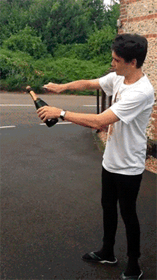 giphy.gif