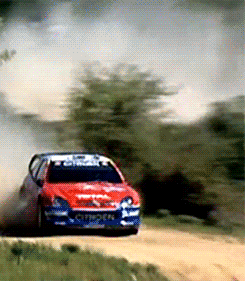 Rally GIF - Find & Share on GIPHY