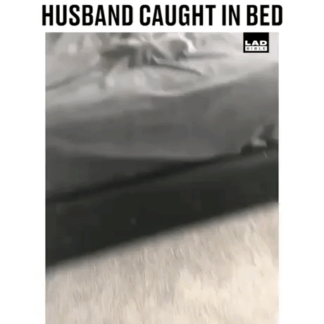 Husband caught in bed in funny gifs