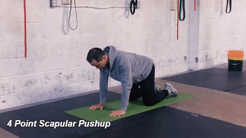 4 Point Scapular Pushup - rehab a strained rotator cuff
