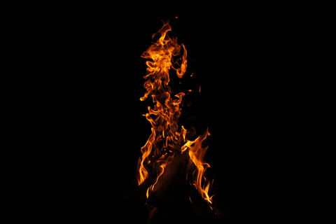 Fire GIF - Find & Share on GIPHY