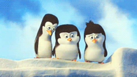 Penguins Of Madagascar GIFs on Giphy