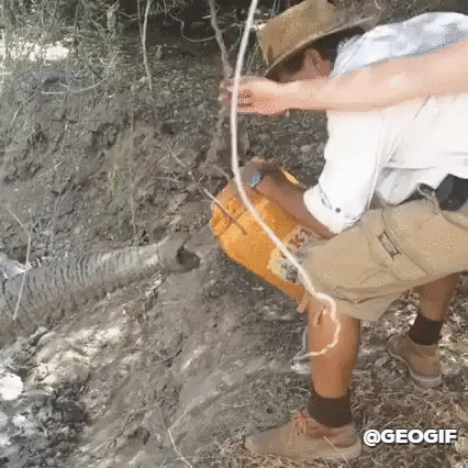 imagenes gif,imagenes graciosas, las mejores imagenes, imagenes graciosas, chistes, risas