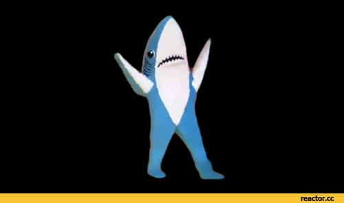 shark animated GIF
