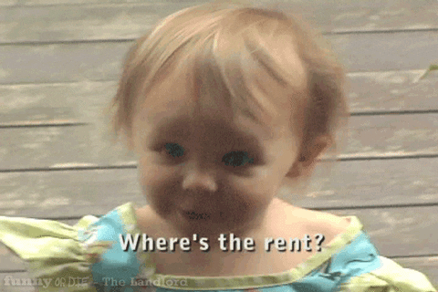 The Landlord Baby GIF