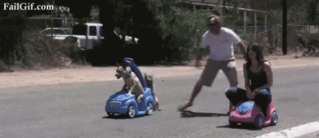 Dog GIF - Find & Share on GIPHY Dog GIF - Find & Share on GIPHY