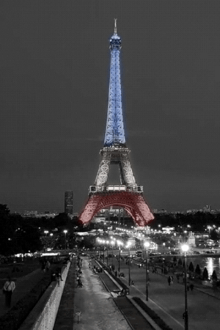  Paris Eiffel tower