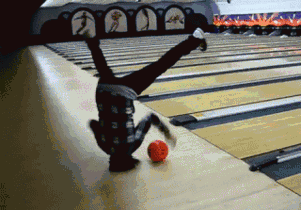 Image result for bowling gifs