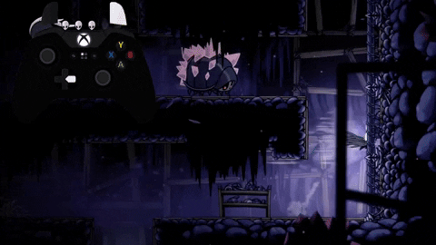 Everything you need to know about the Hollow Knight Speedrun - Interview with Vysuals (Multiple HK-World record holder) by Speedrun Education