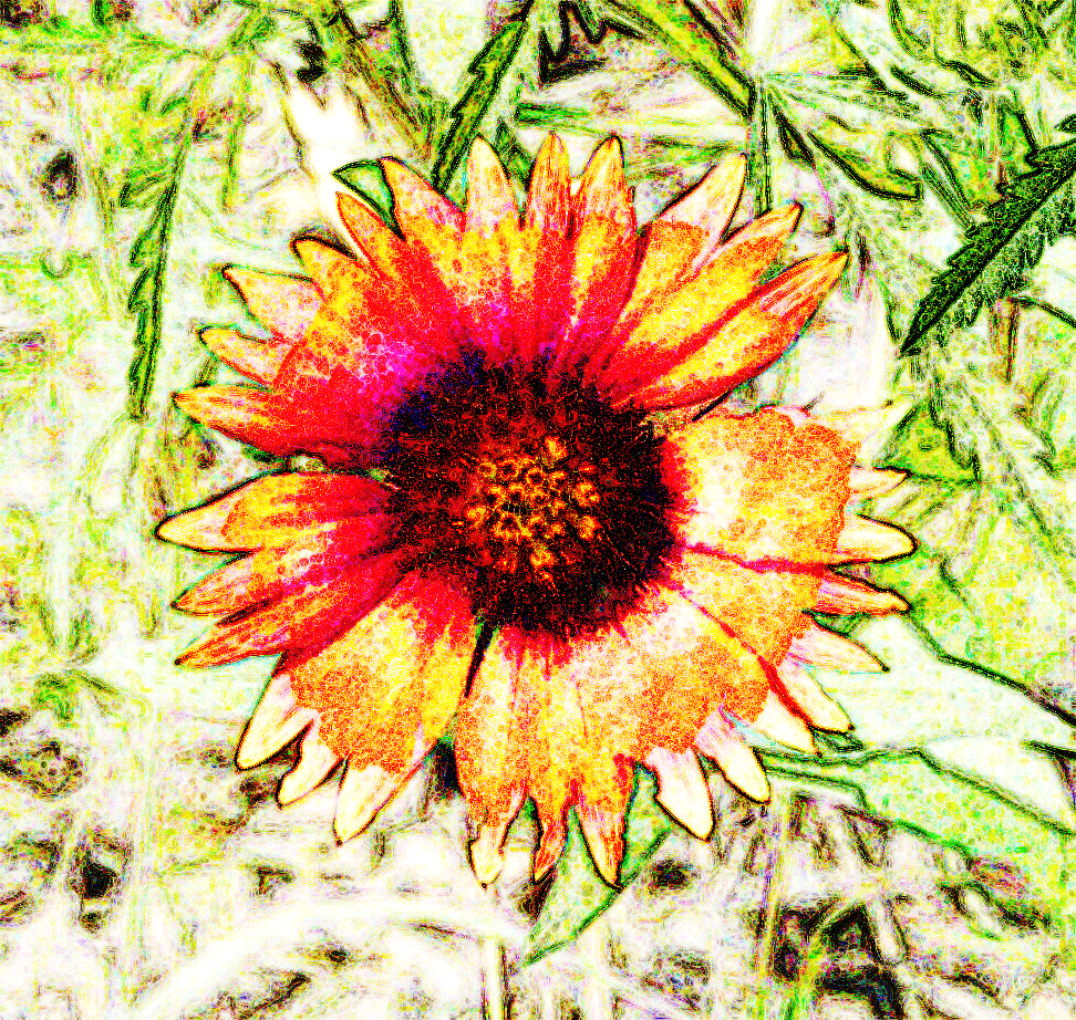 Vibrant GIF Find & Share on GIPHY