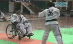 Martial Arts Karate GIF - Find & Share on GIPHY
